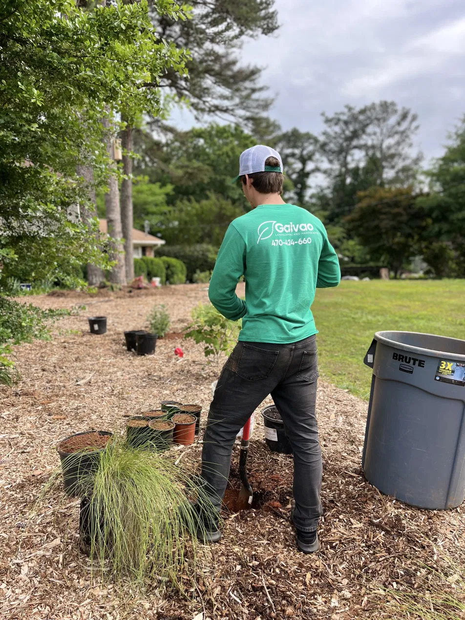 Galvao crew member planting ornamental grasses