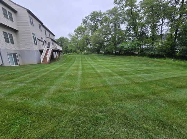 Residential & Commercial Maintenance by Galvao Landscaping