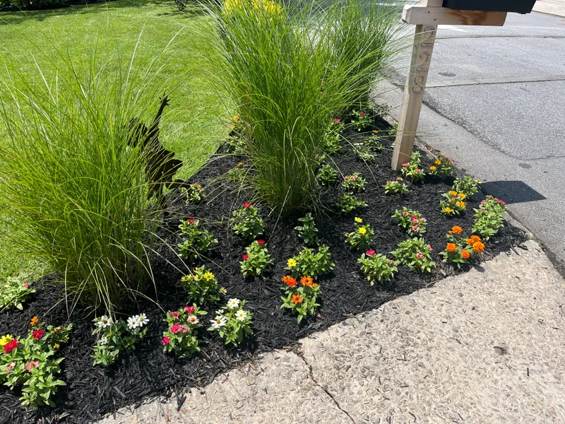 Colorful seasonal flowers planted in a front-entry bed