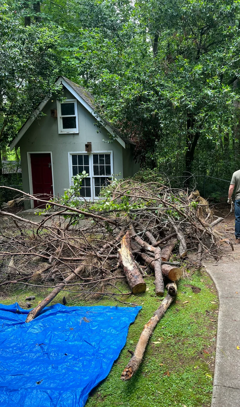 Storm cleanup with large branch removal
