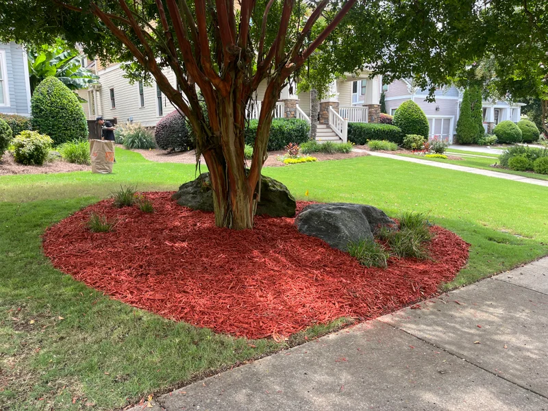 Fresh red mulch ring and stone accents around mature tree