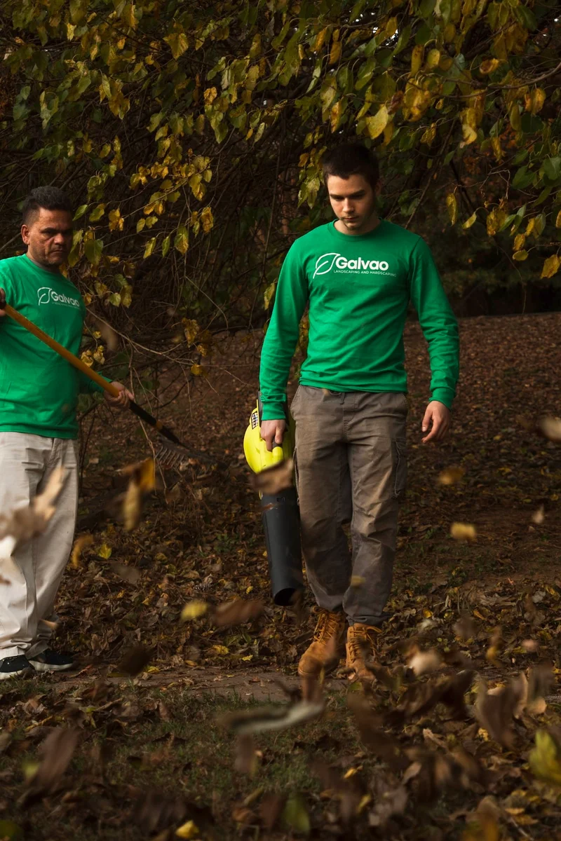 Fall leaf cleanup with rake and blower