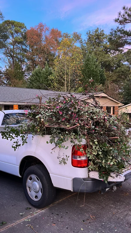 Brush and tree-limb removal load-out