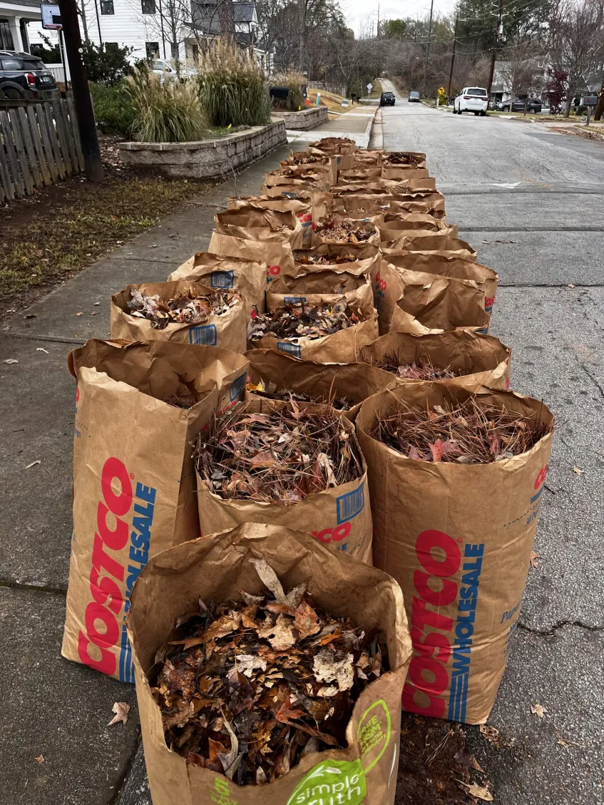 Seasonal Cleanup by Galvao Landscaping