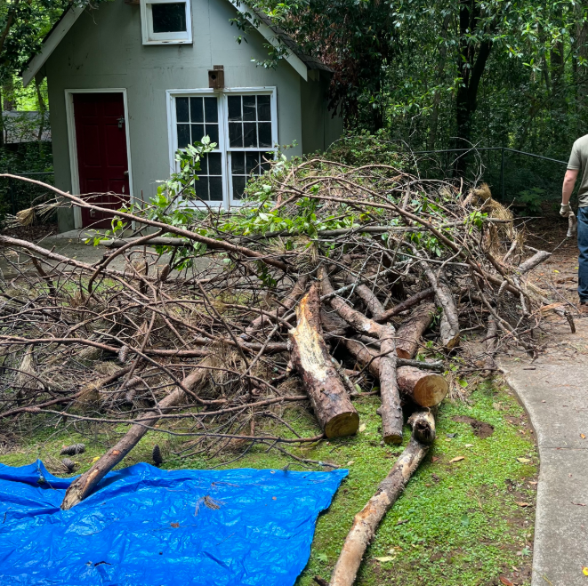 Tree Trimming by Galvao Landscaping